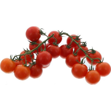 TOMATE CERISE COCKTAIL 3KG LUXEMBOURG
